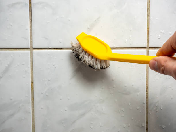 Best Mold Testing and Removal  in Grayson, CA