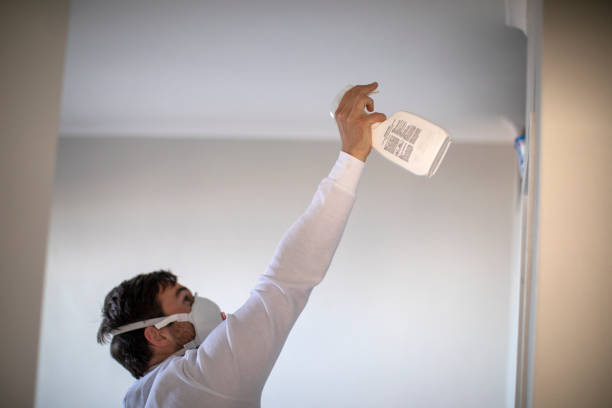 Professional Mold Removal in Grayson, CA