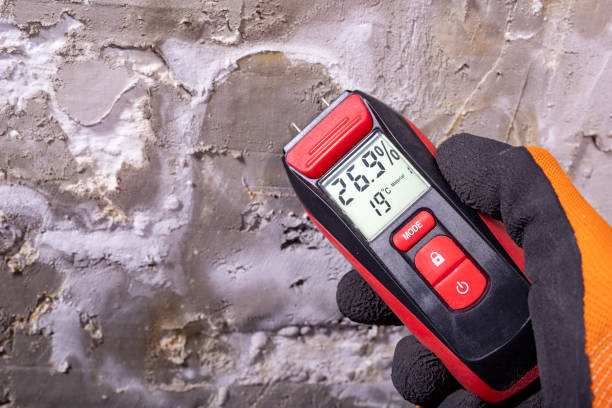 Mold Removal and Inspection in Grayson, CA