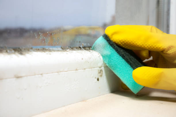Best Residential Mold Removal  in Grayson, CA