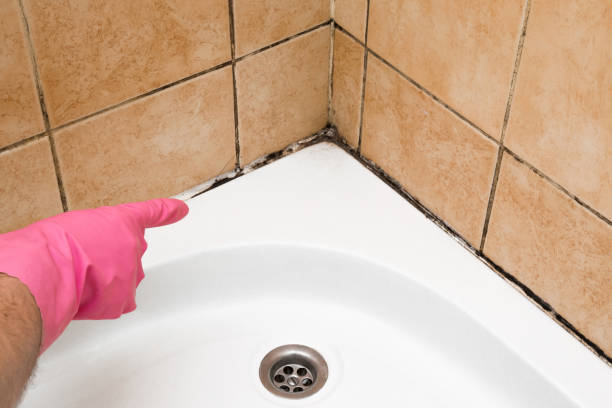Best Crawl Space Mold Removal  in Grayson, CA